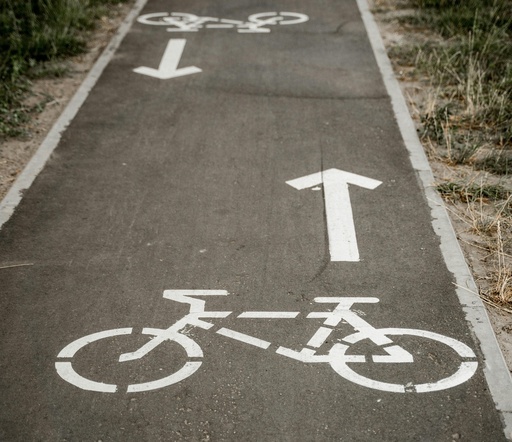 Fleet Emissions Strategy Planning